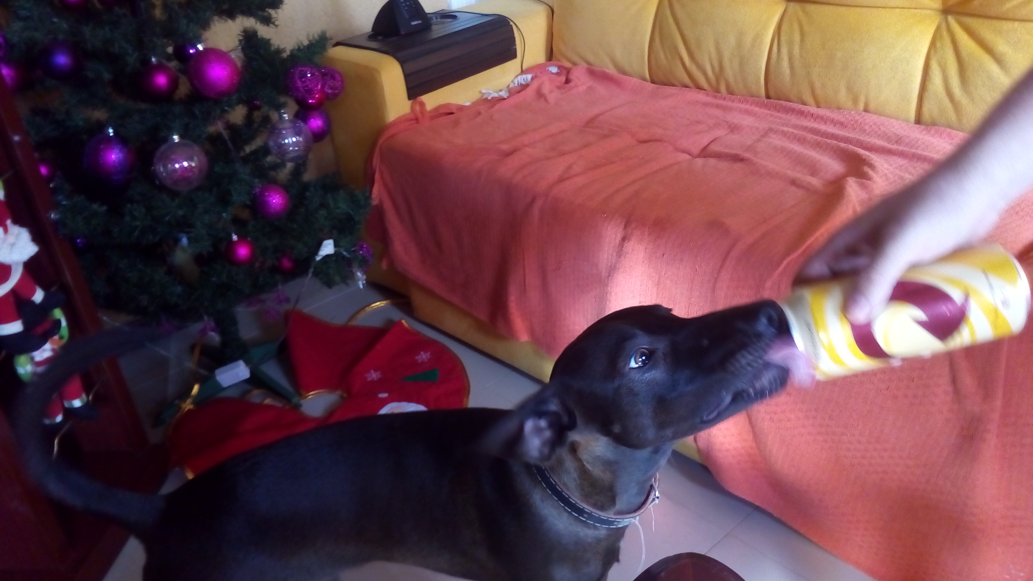 imagem 3