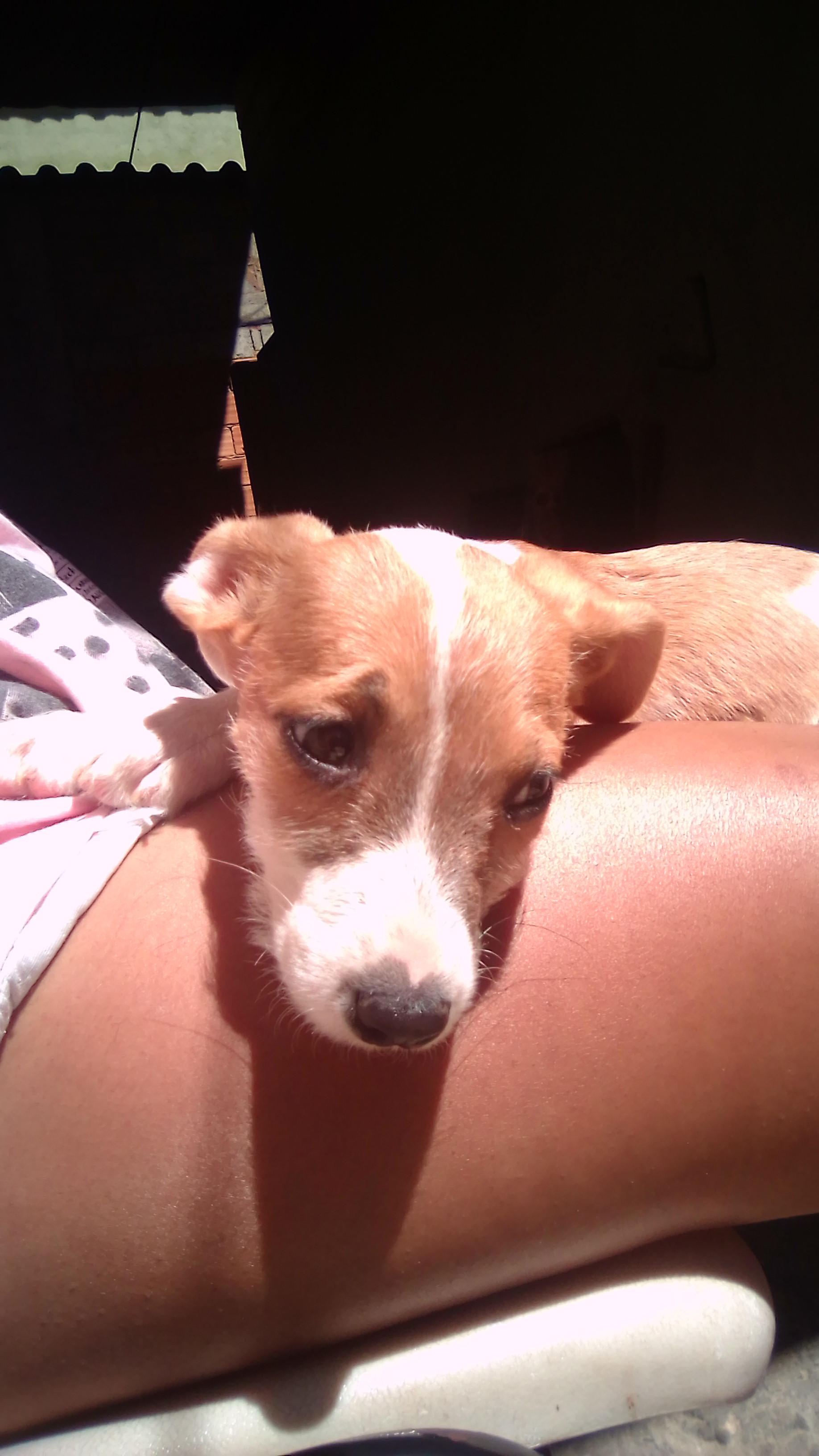 imagem 2