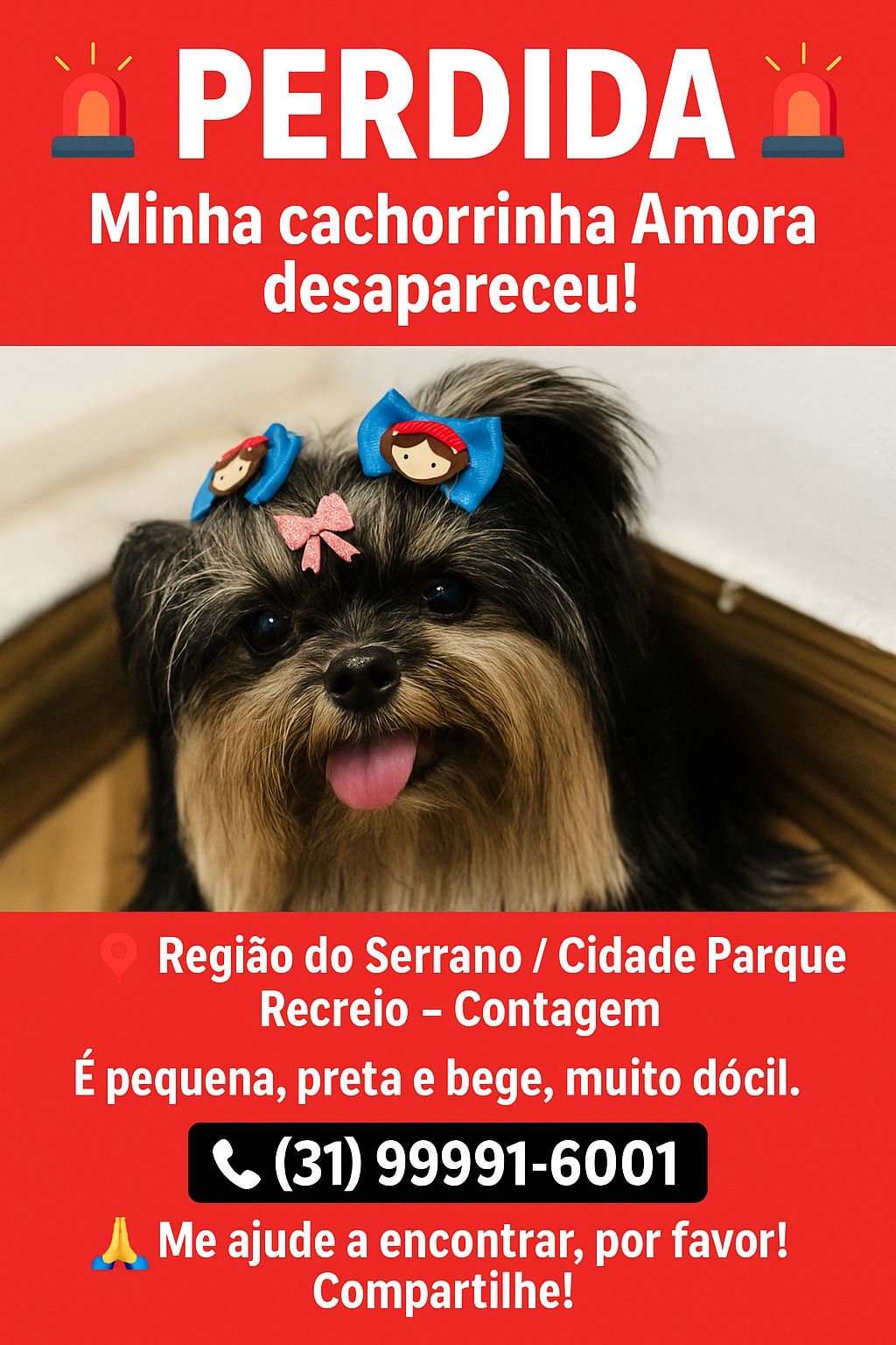 imagem 0