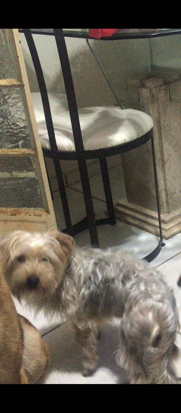 imagem 5