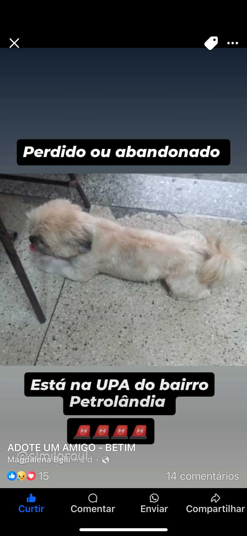 imagem 1