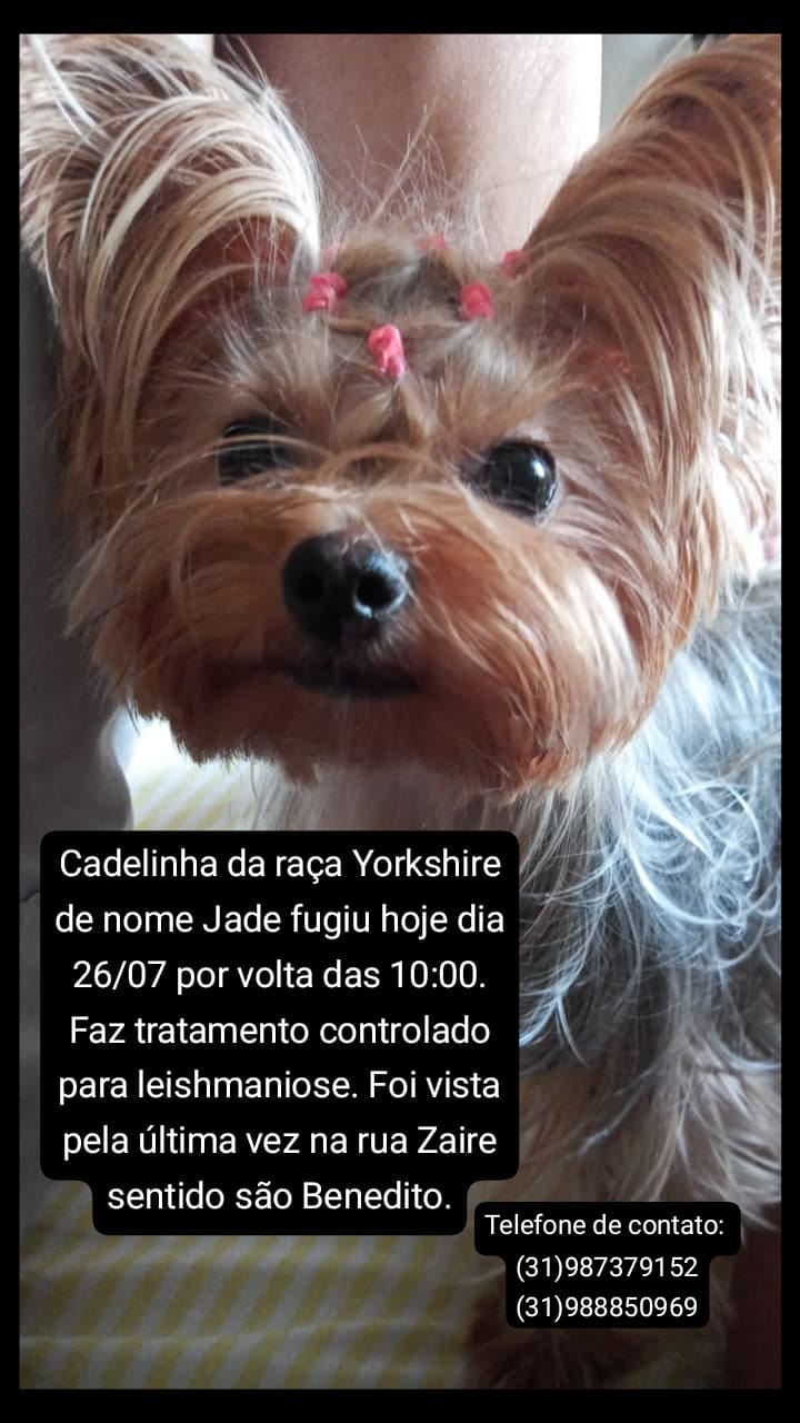 imagem 4