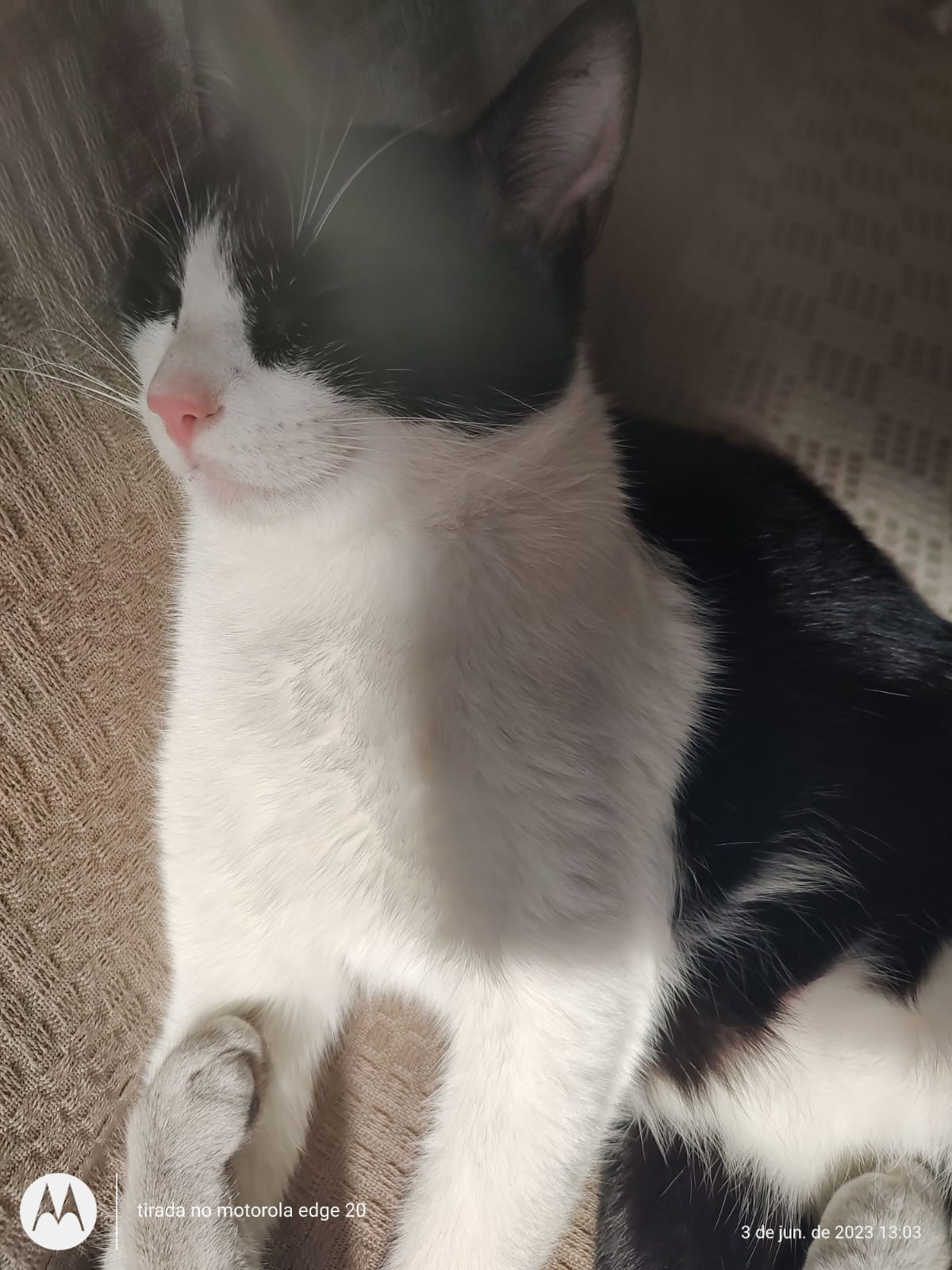 ILY