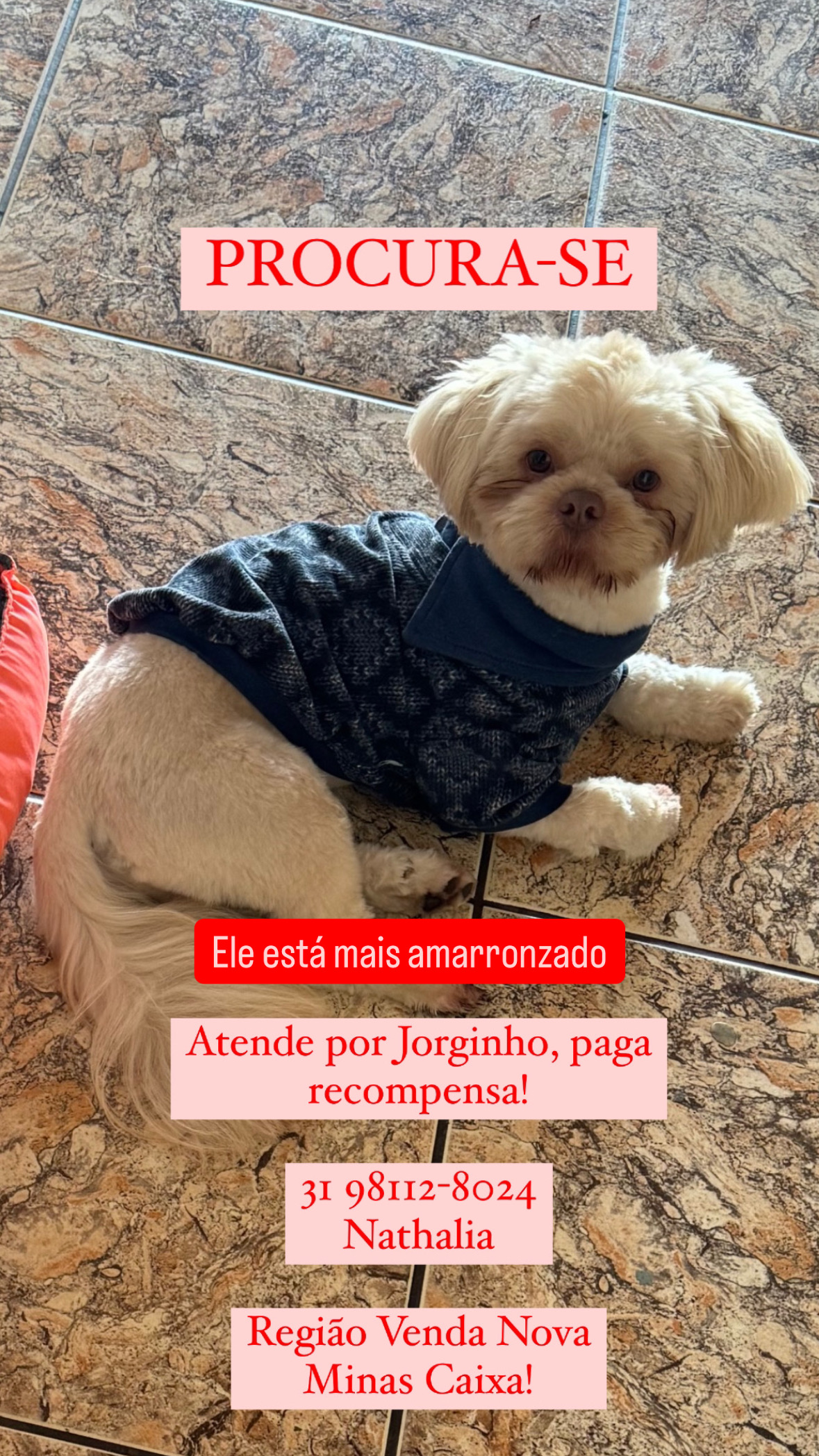Jorginho