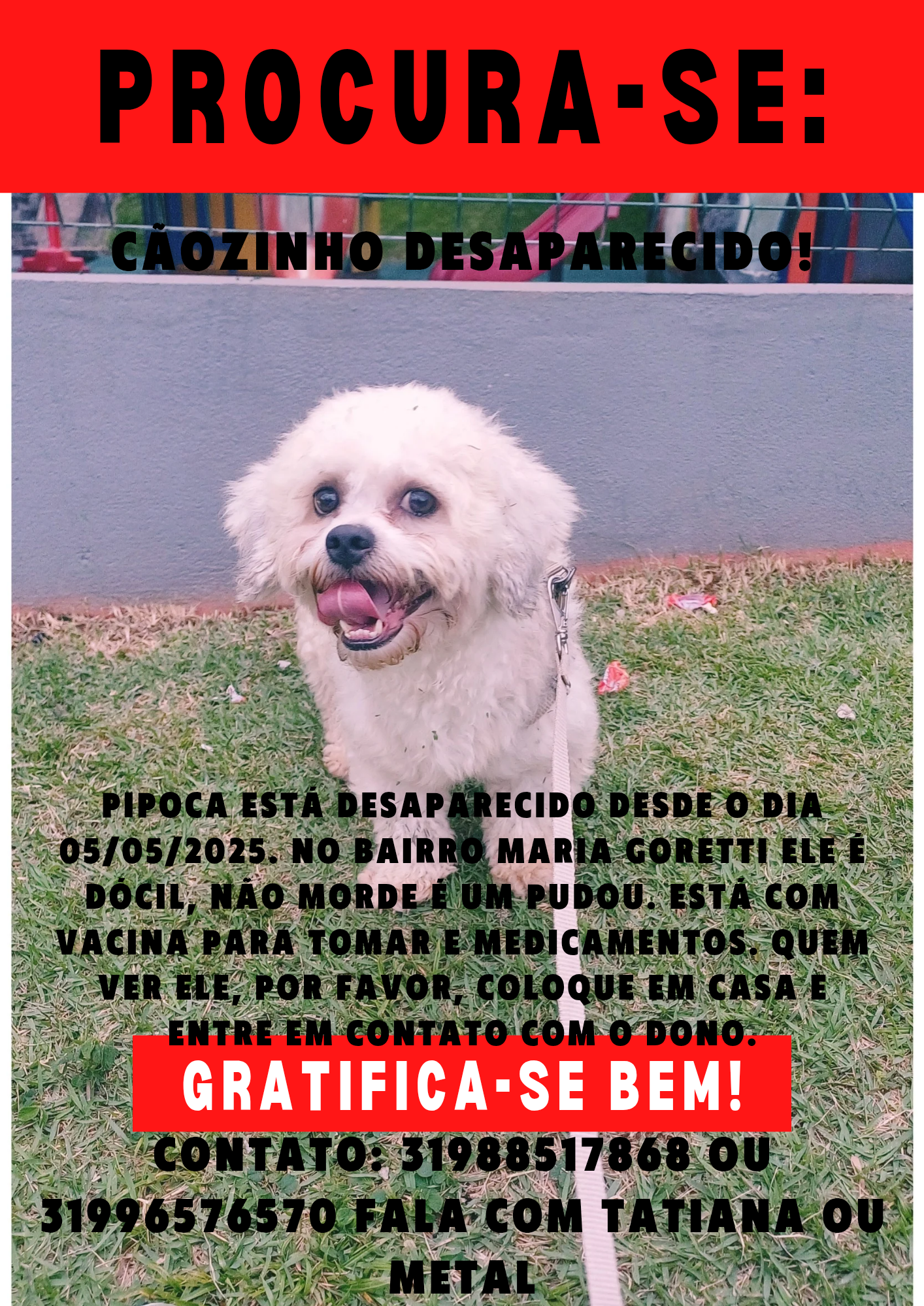 imagem 3