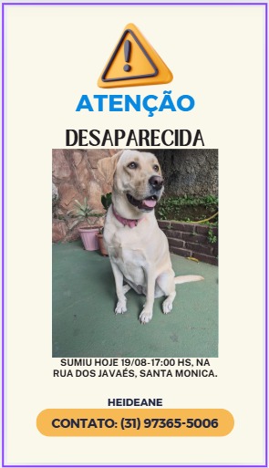 imagem 0