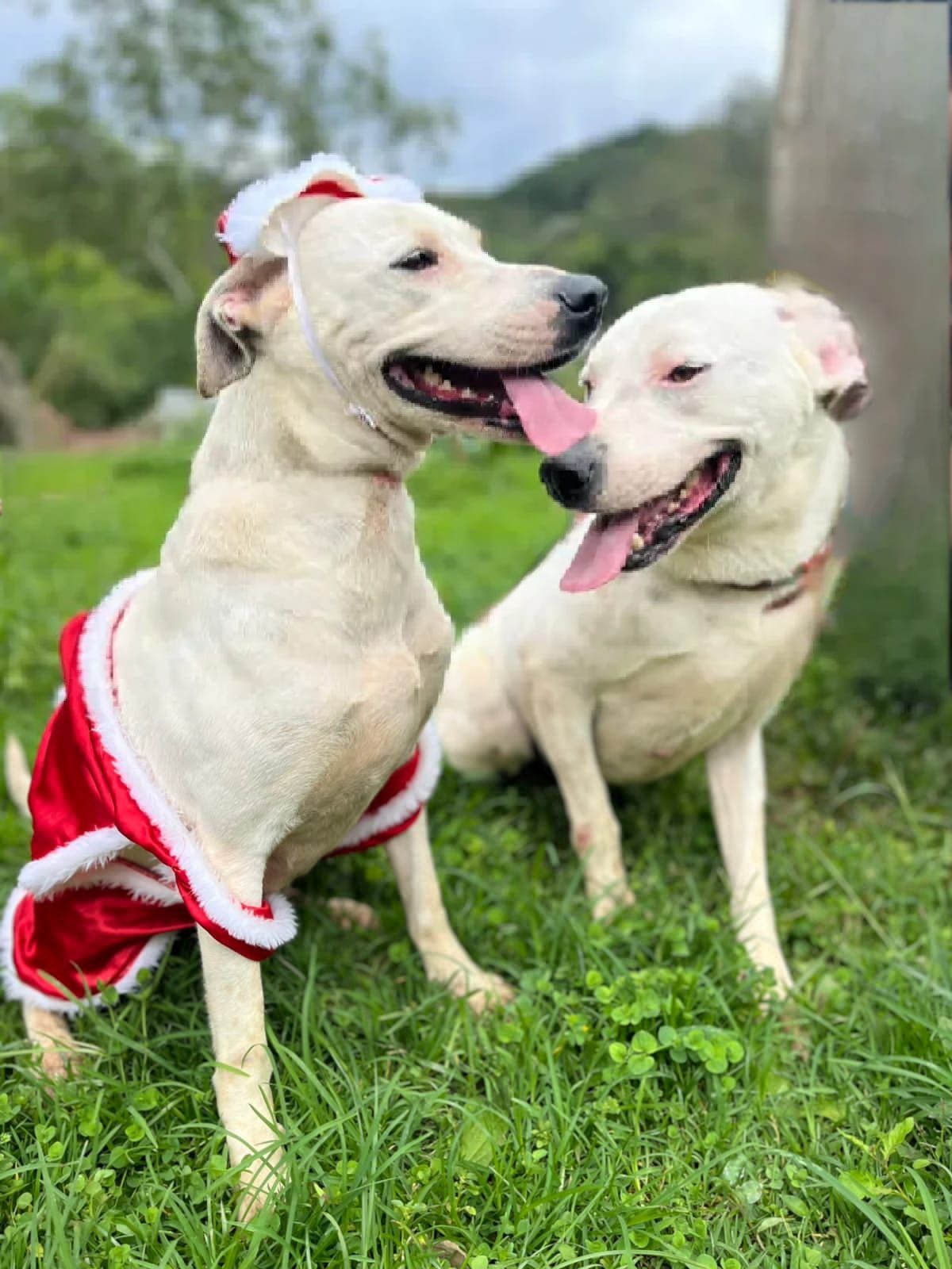 Romeu e Julieta
