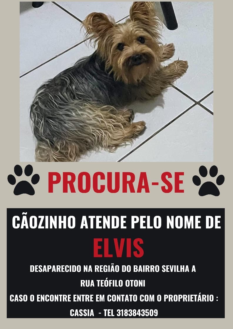 imagem 0