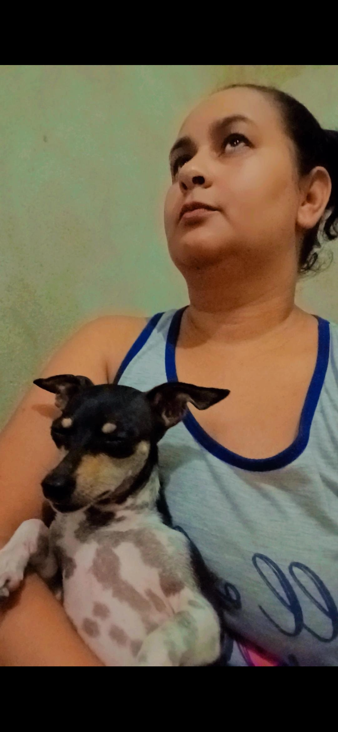 imagem 4