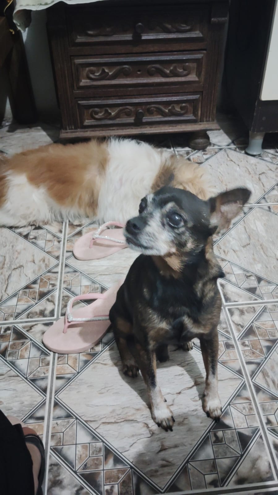 imagem 0