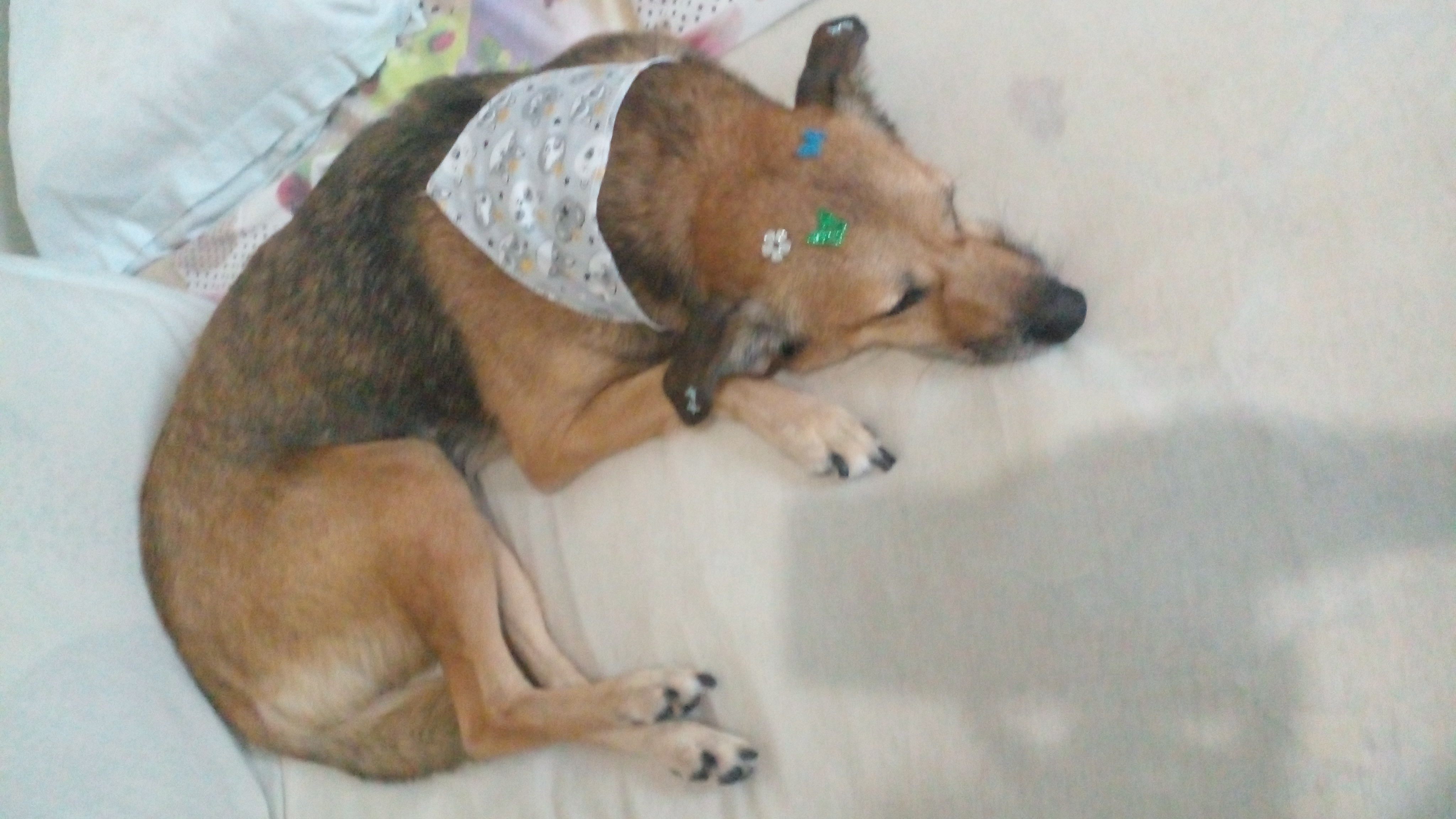 imagem 0