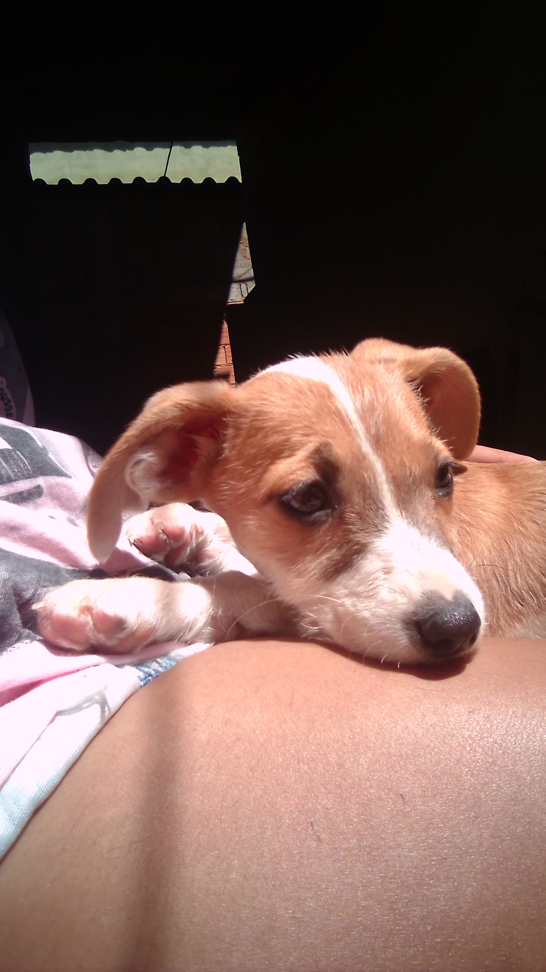 imagem 3