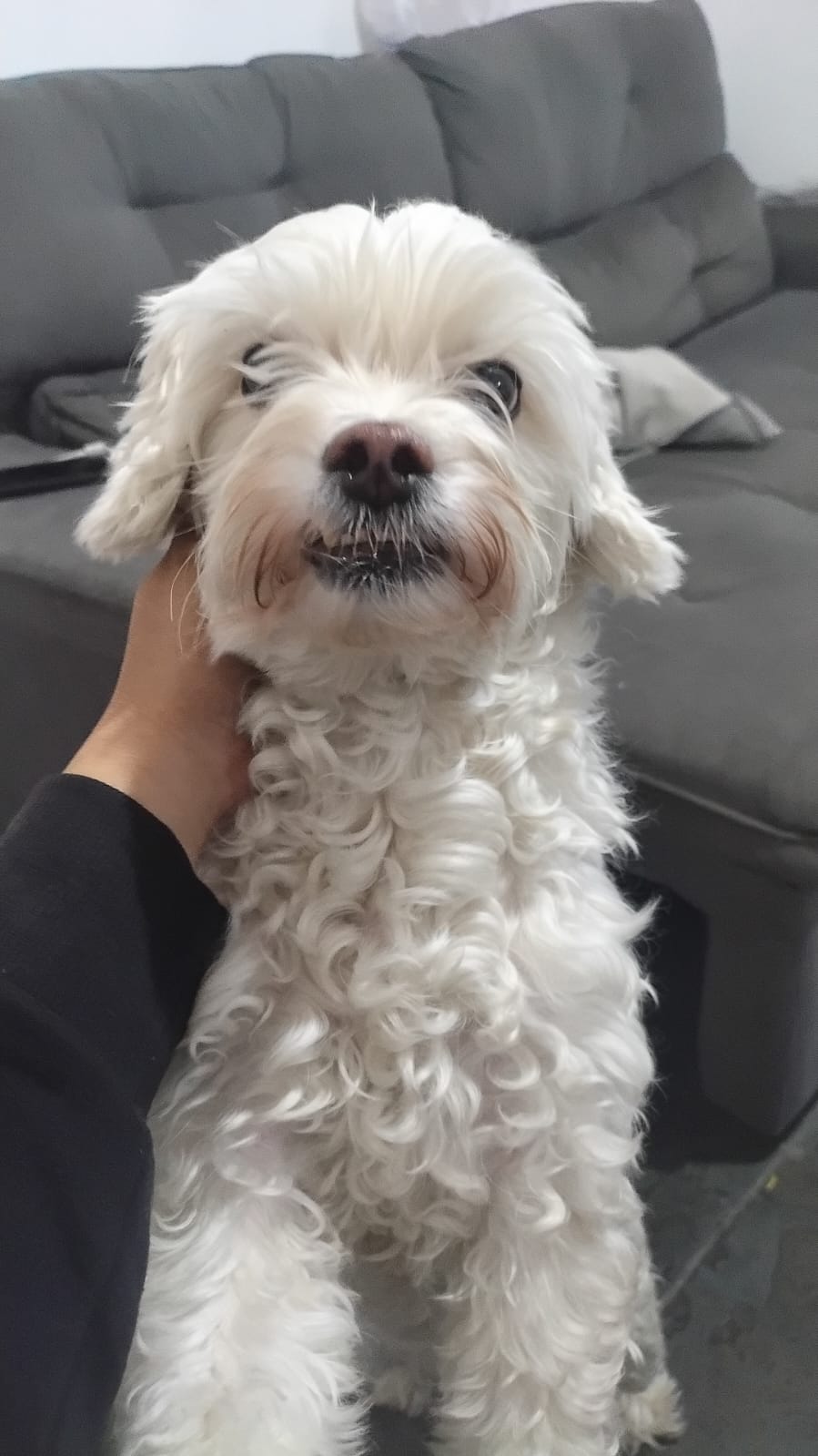 ILY