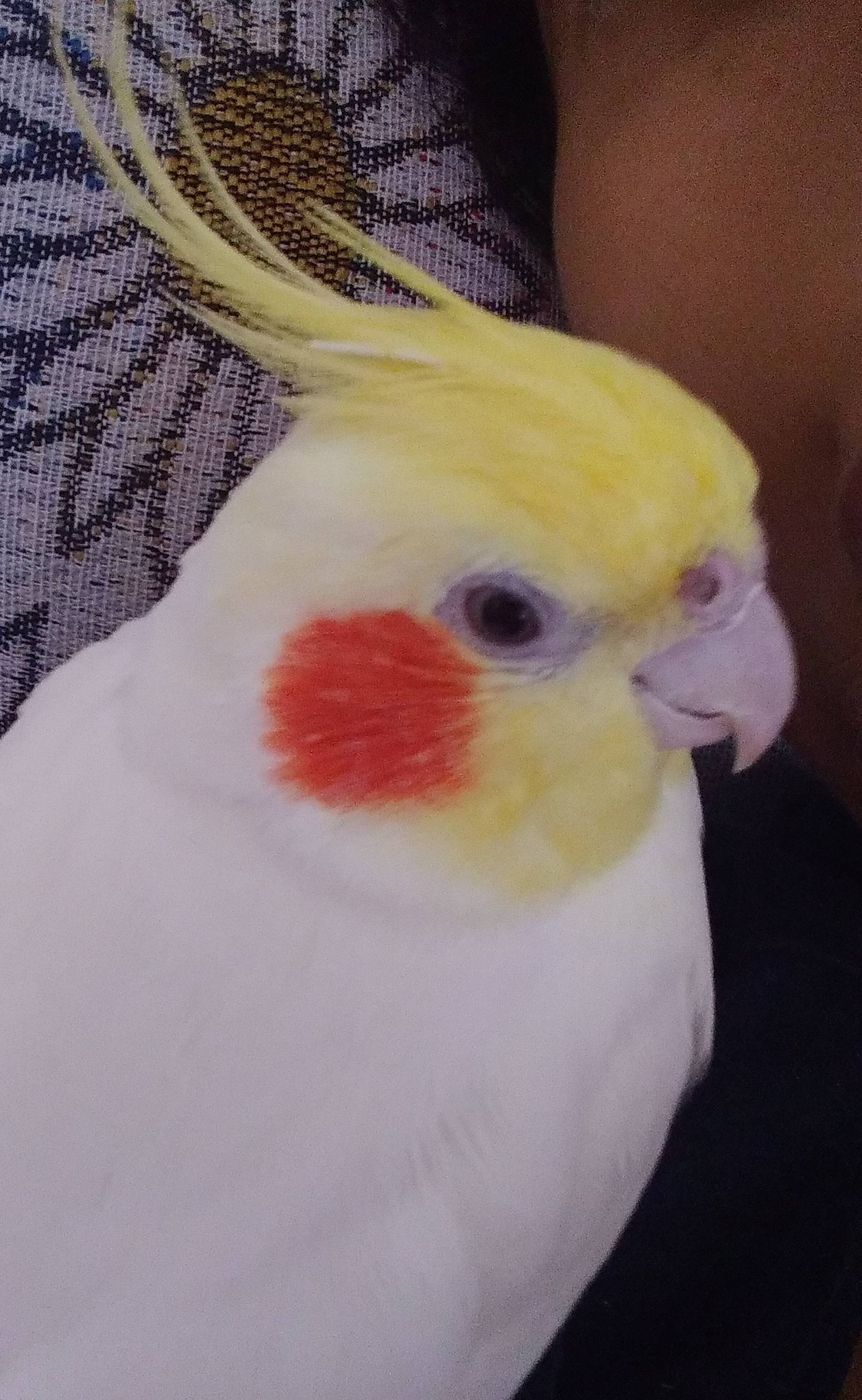 ILY