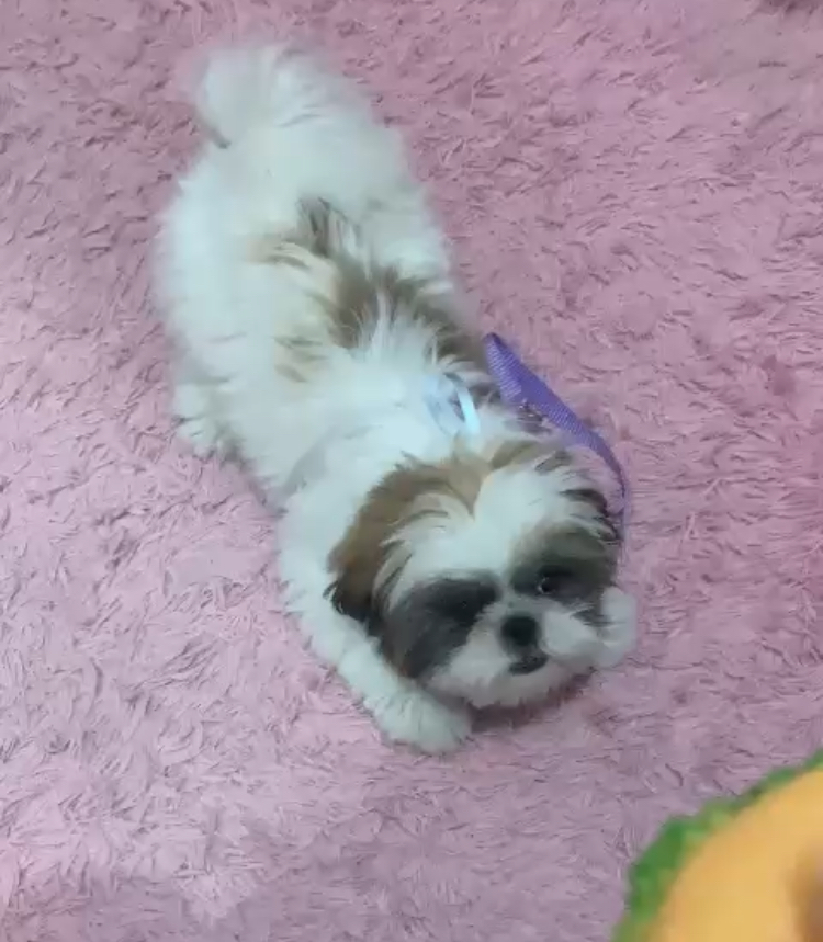ILY