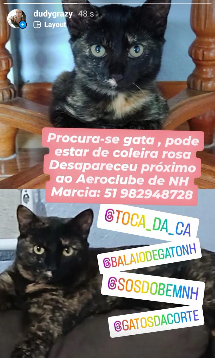 imagem 2