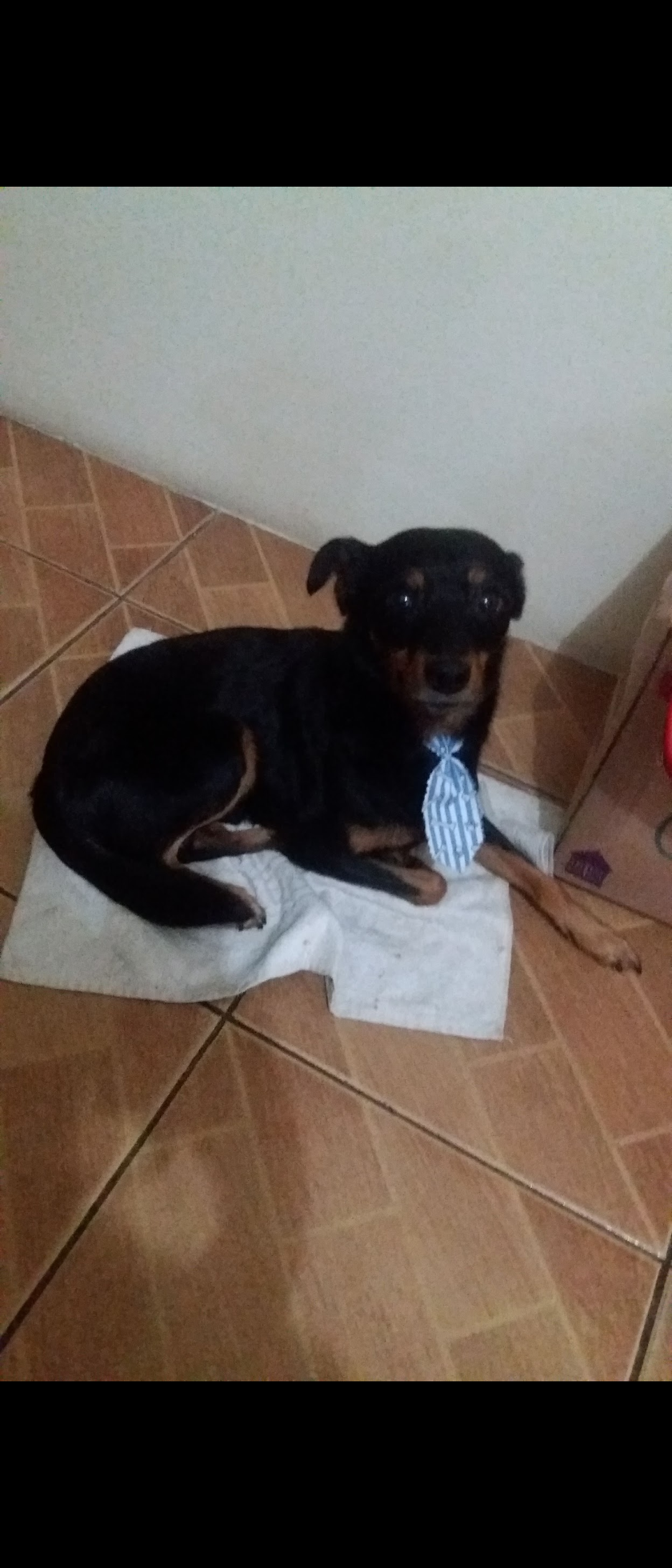 imagem 0