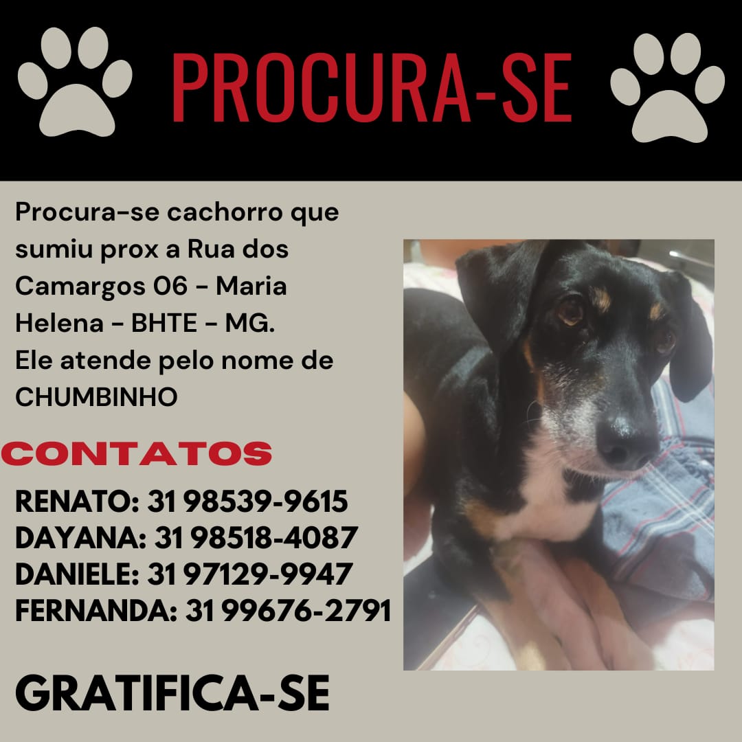 imagem 0