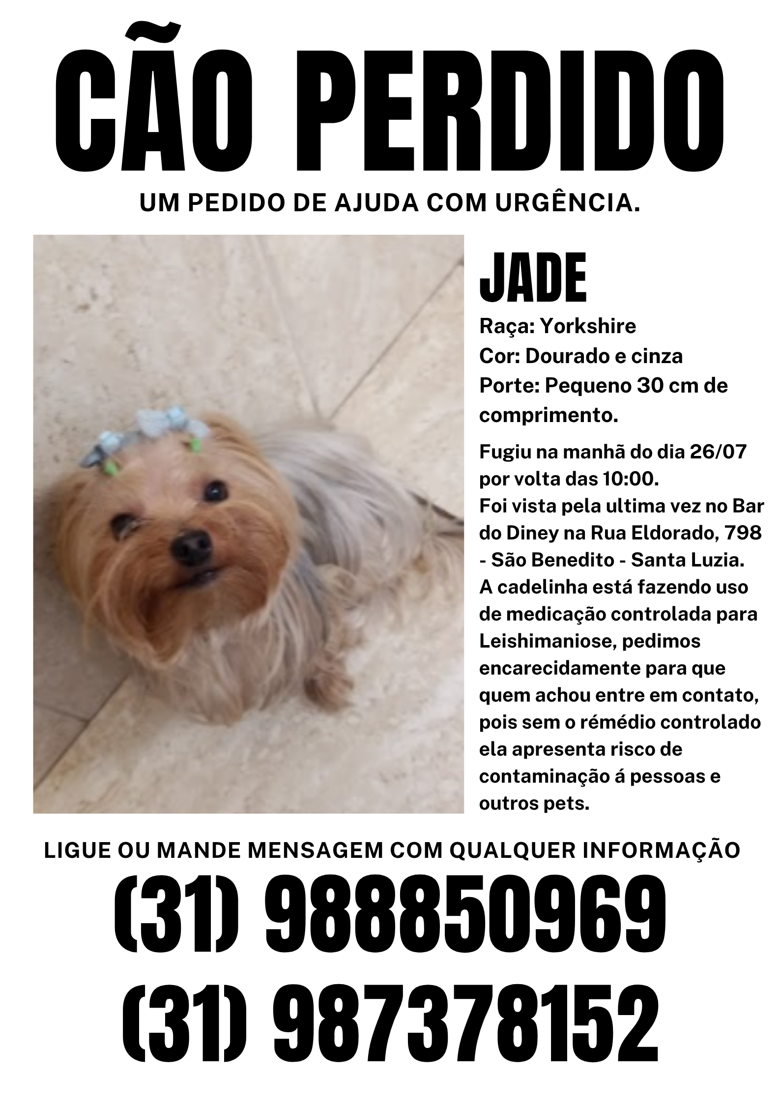 imagem 3