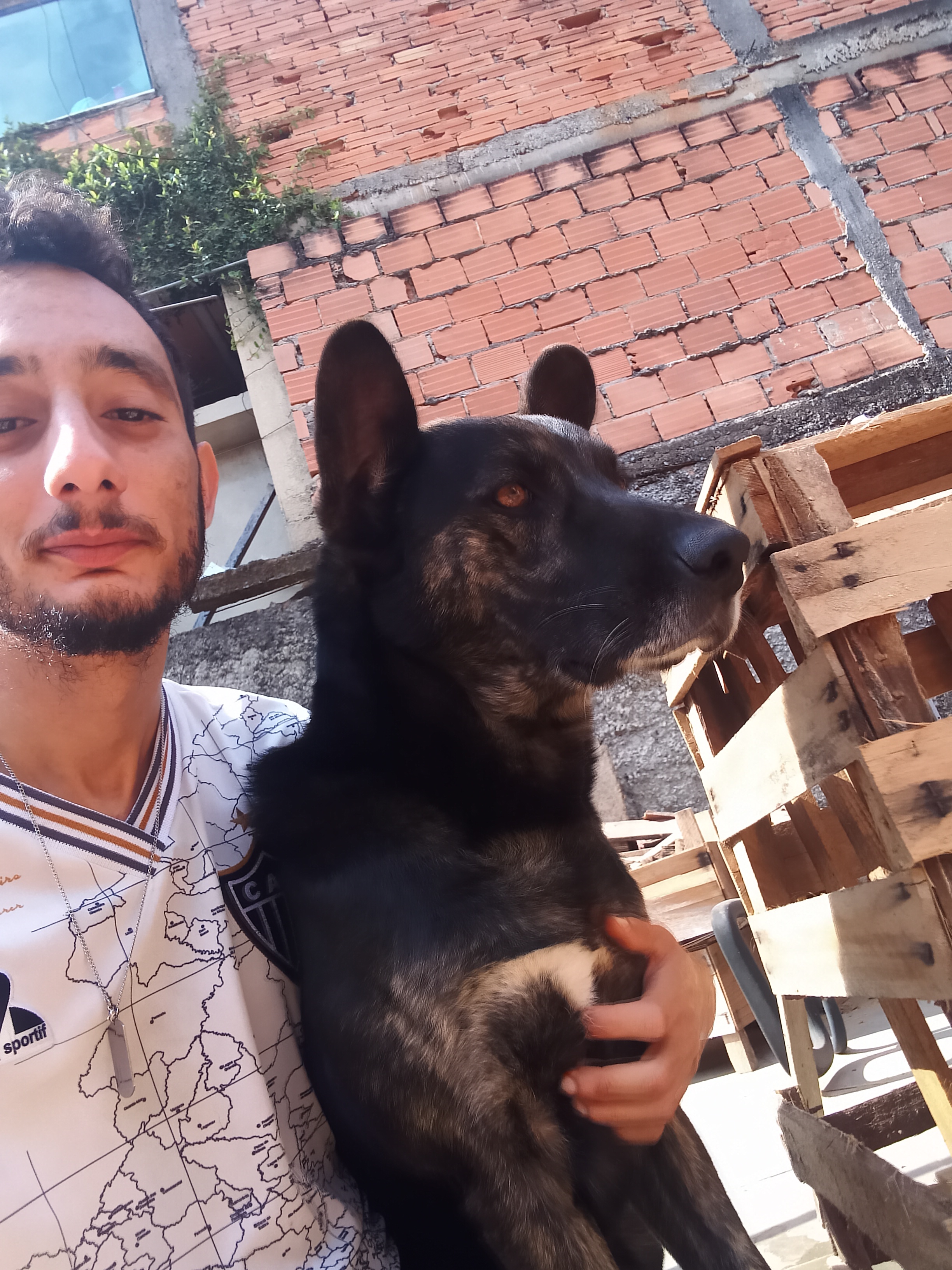 imagem 2