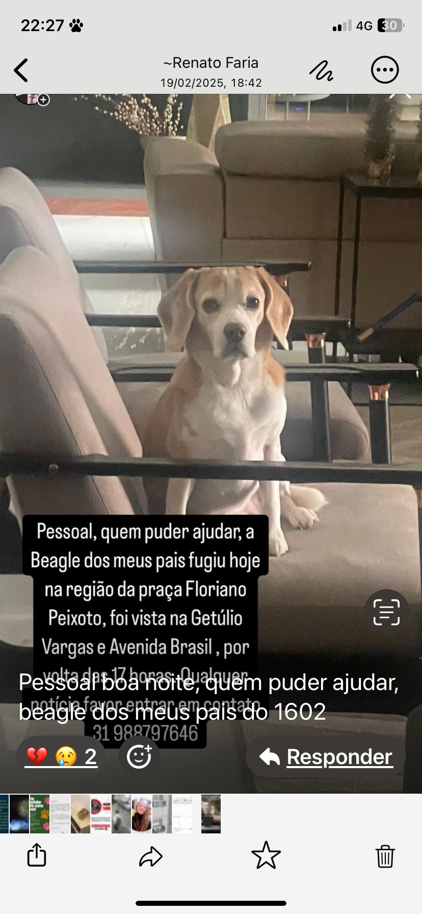imagem 0