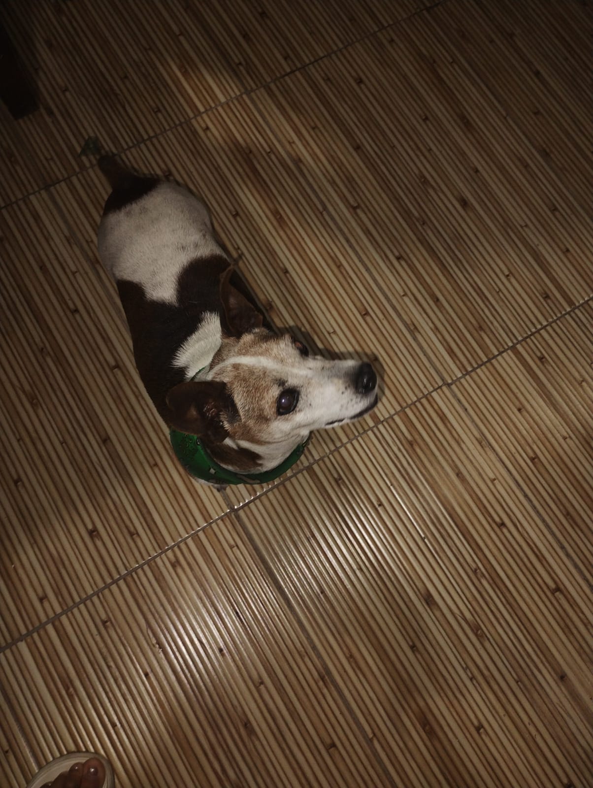imagem 1