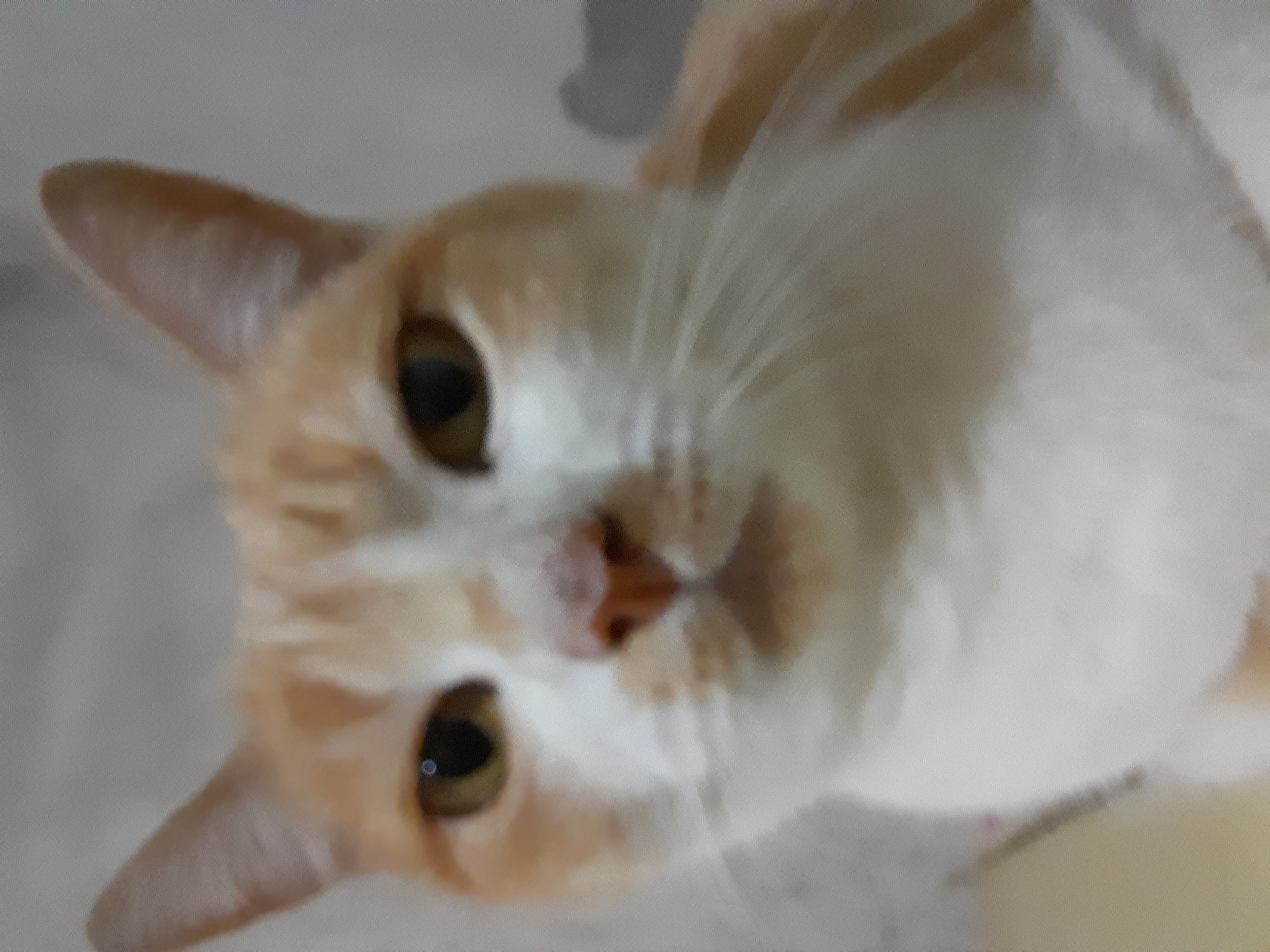 ILY