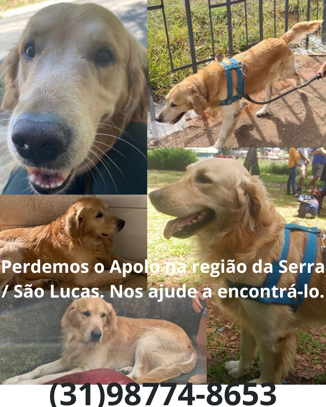 imagem 0