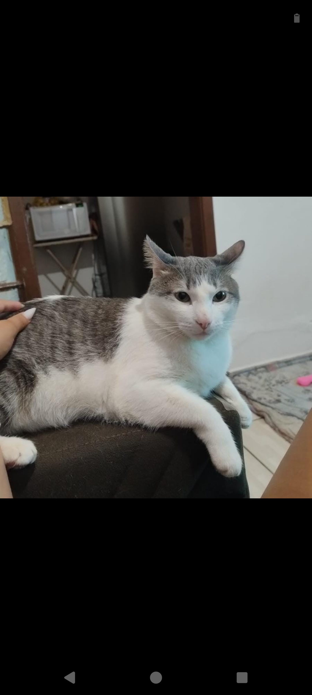 ILY