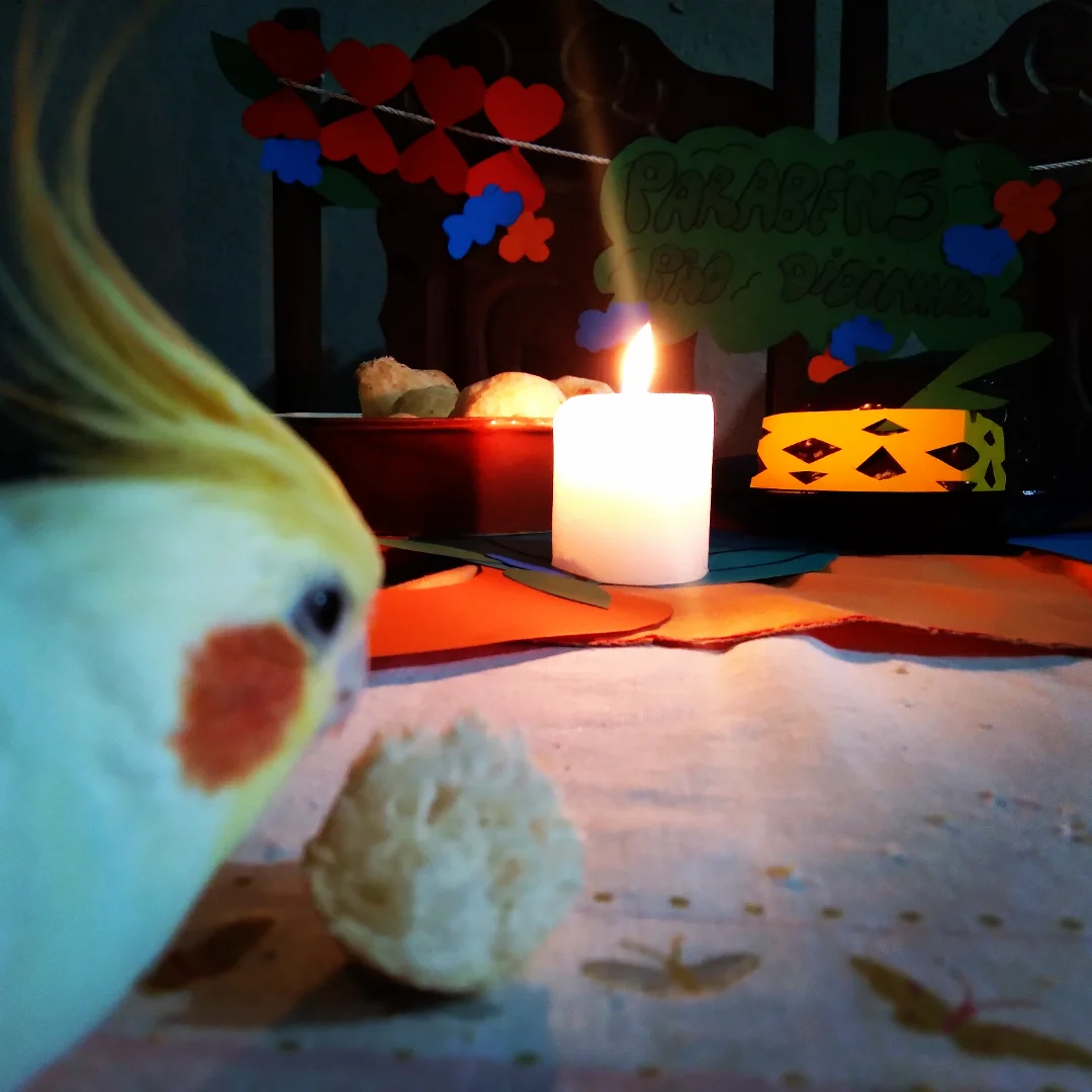 imagem 0