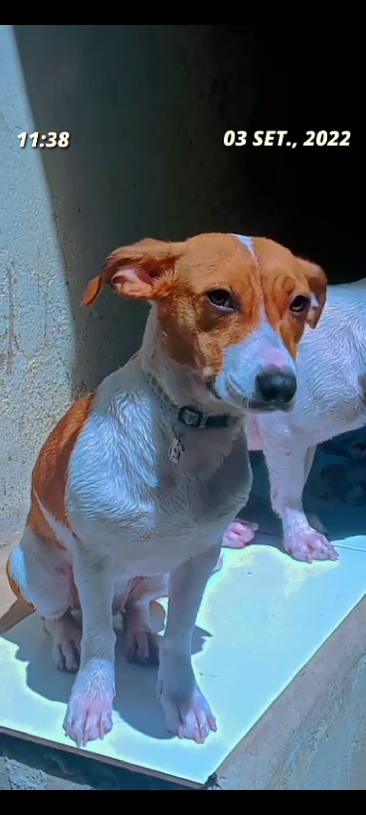 imagem 1