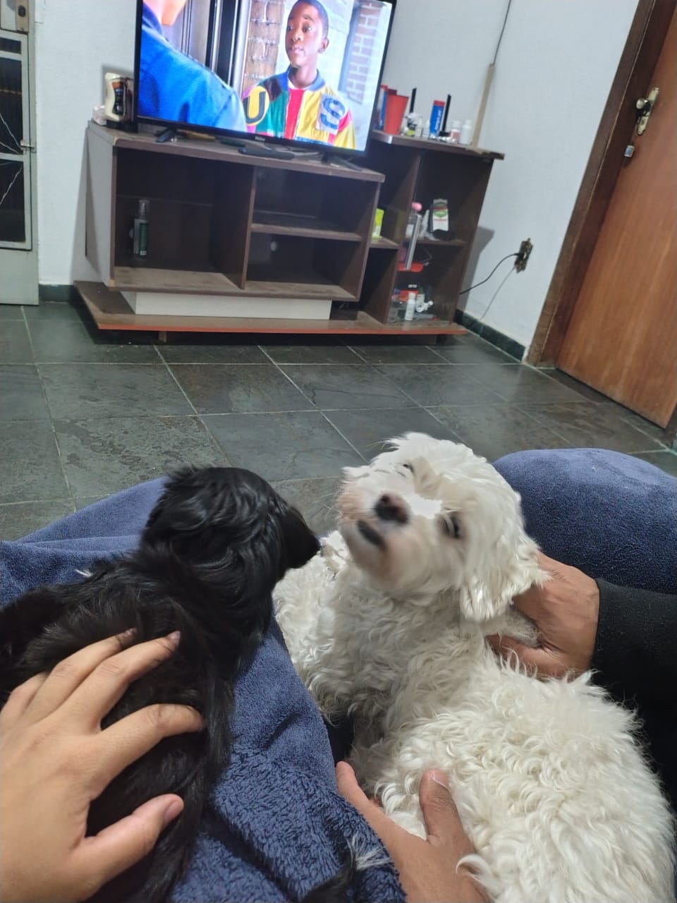imagem 1