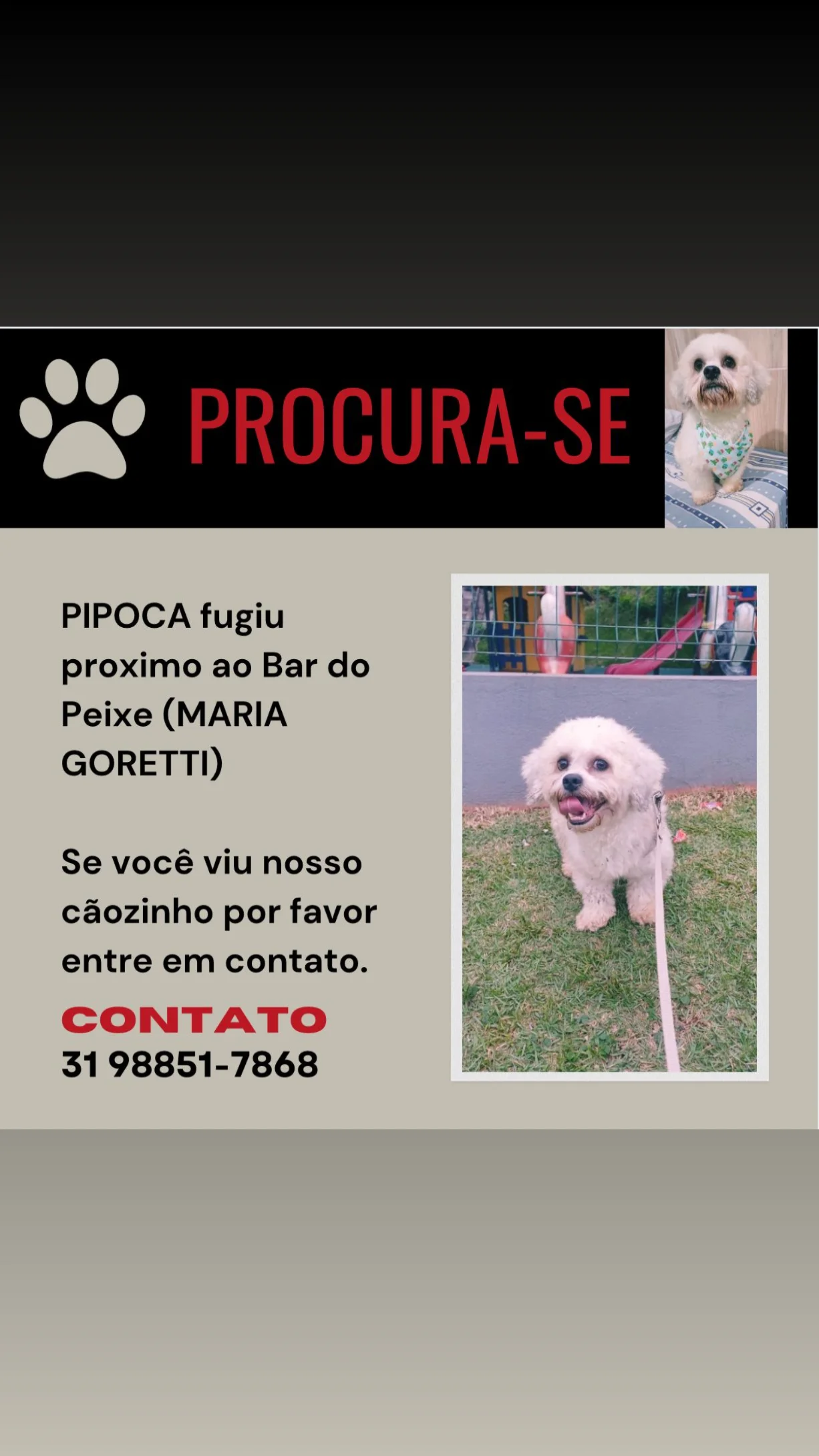 imagem 2