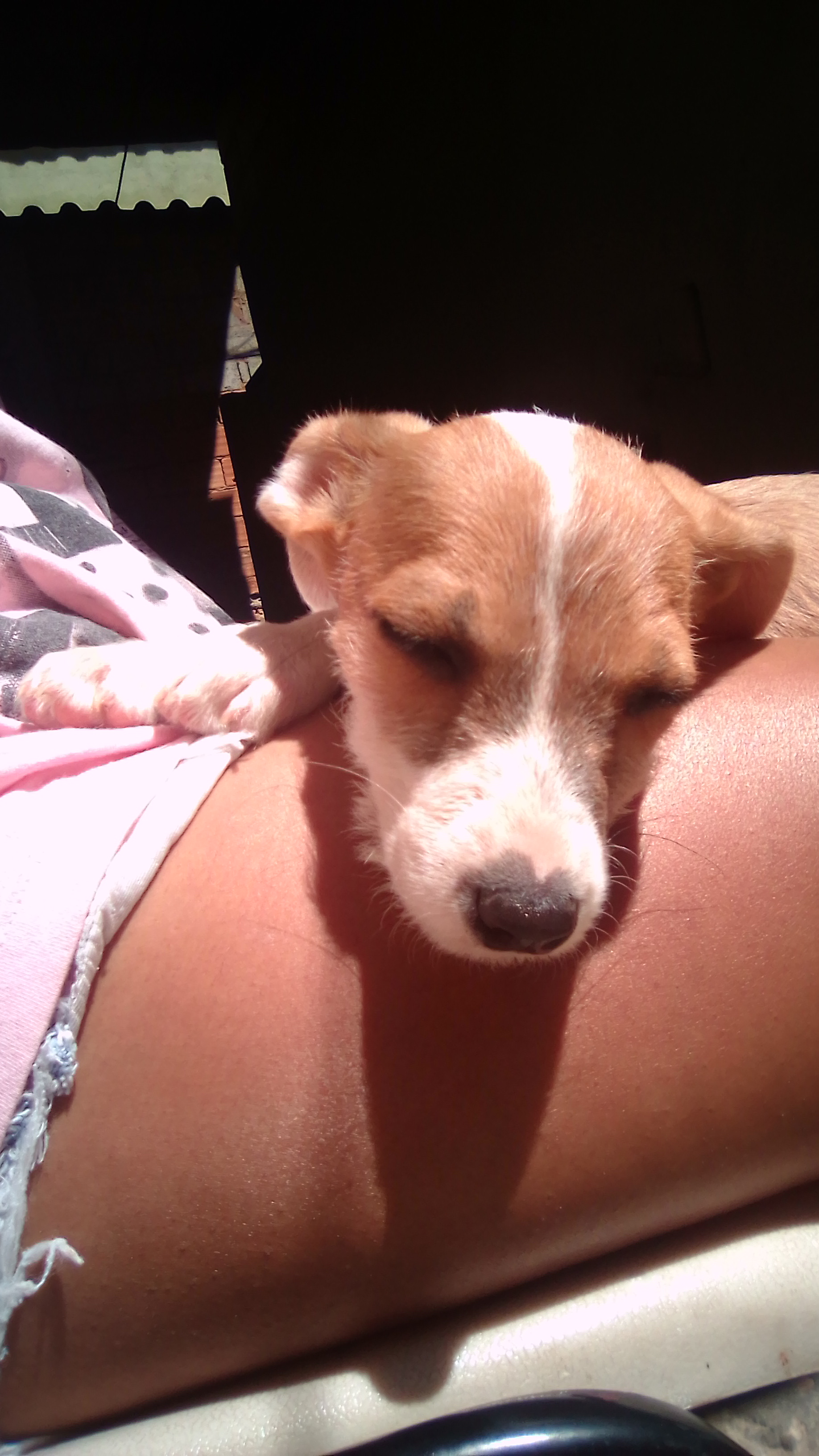 imagem 1