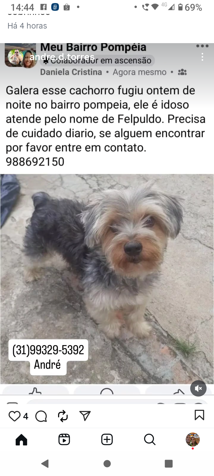 imagem 0